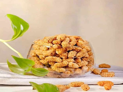 خرید و فروش توت سفید خشک با شرایط فوق العاده