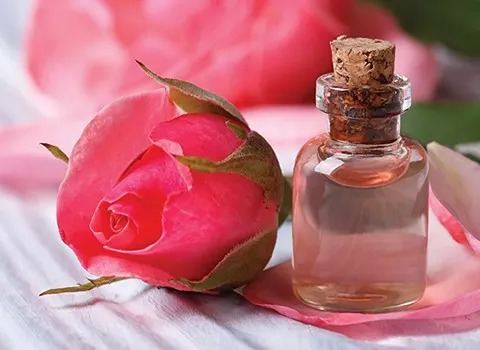 تصویر 1 از قیمت خرید گلاب دو آتیشه کاشان عمده به صرفه و ارزان
