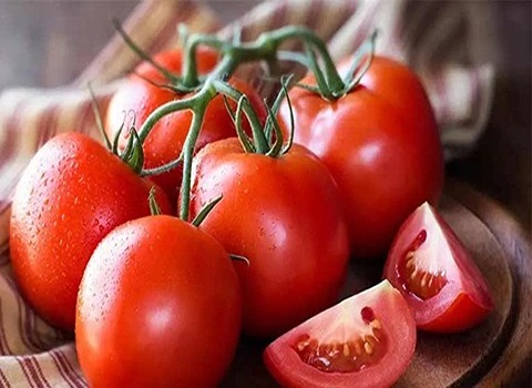 تصویر 1 از قیمت گوجه فرنگی شیراز با کیفیت ارزان + خرید عمده