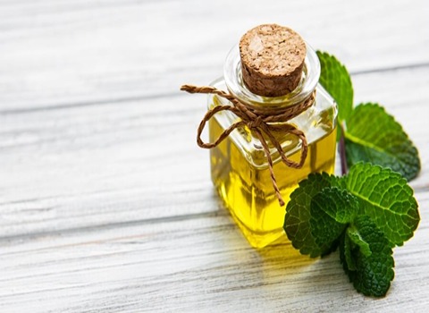 تصویر 2 از قیمت اسانس خوراکی نعناع + خرید باور نکردنی