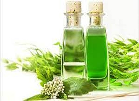تصویر 2 از خرید و قیمت اسانس آویشن شیرازی + فروش عمده