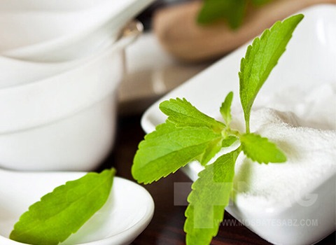 قیمت استویا شیرین کننده رژیمی + خرید باور نکردنی