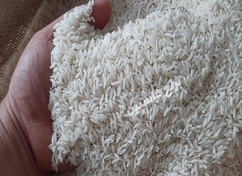 تصویر 4 از قیمت برنج طارم هاشمی شمال + خرید باور نکردنی