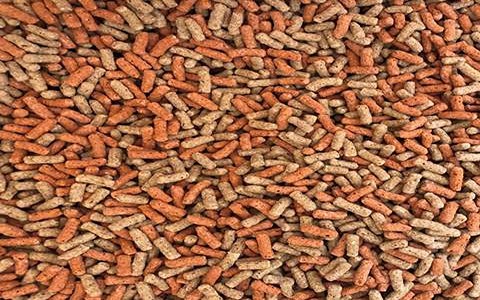 تصویر 3 از خرید خوراک ماهی خاویار + قیمت فروش استثنایی