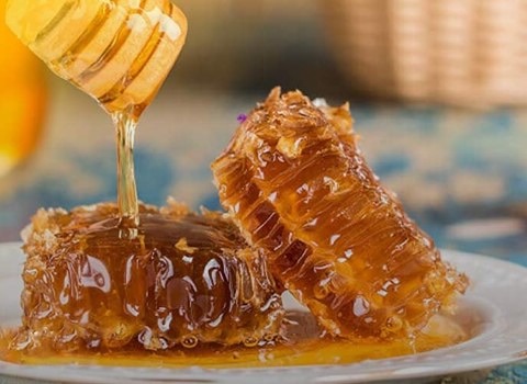 قیمت خرید عسل ارگانیک اصل عمده به صرفه و ارزان