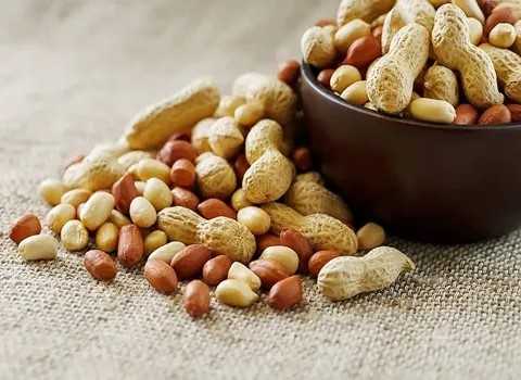 تصویر 3 از خرید و قیمت بادام زمینی فله ای + فروش صادراتی