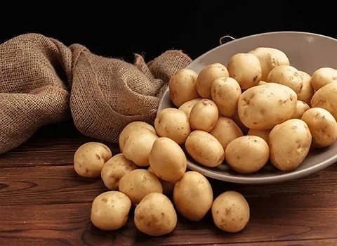 تصویر 4 از قیمت سیب زمینی آگریا همدان + خرید باور نکردنی