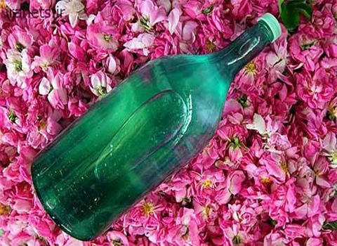 تصویر 1 از قیمت خرید گلاب ممتاز کاشان + فروش ویژه