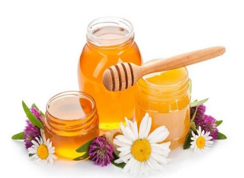 تصویر 2 از خرید عسل طبیعی ارگانیک + قیمت فروش استثنایی