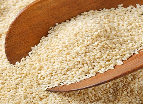 تصویر 1 از خرید و فروش کنجد سفید پاکستانی با شرایط فوق العاده