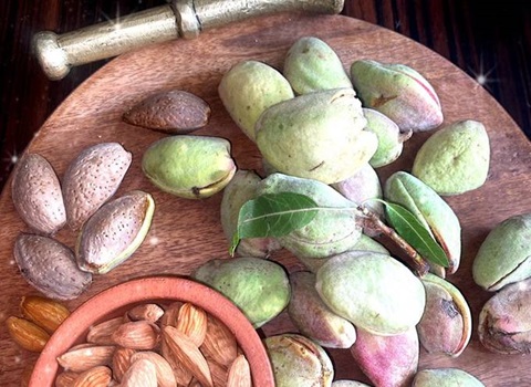 تصویر 4 از خرید بادام درختی سبز + قیمت فروش استثنایی