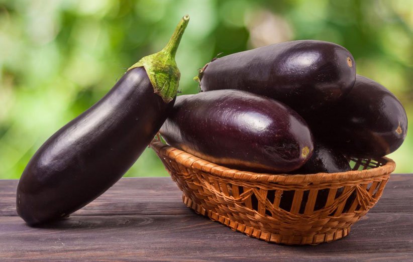 تصویر 1 از فروش بادمجان سیاه بزرگ + قیمت خرید به صرفه