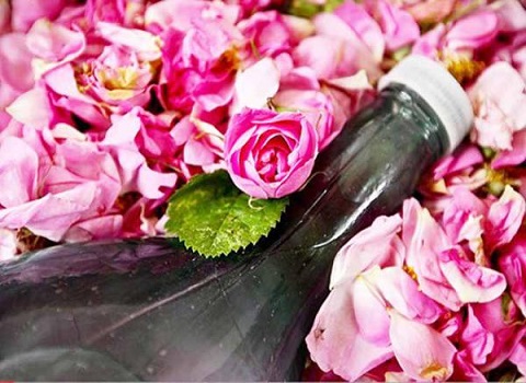 تصویر 3 از خرید عرق نسترن کوهی + قیمت فروش استثنایی