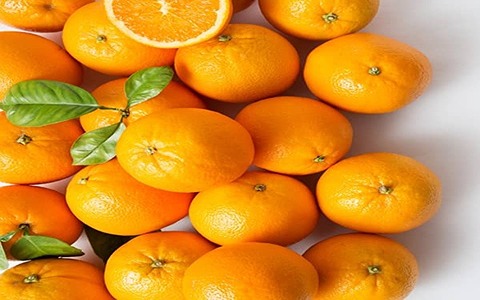 تصویر 3 از خرید و قیمت پرتقال و نارنگی + فروش عمده