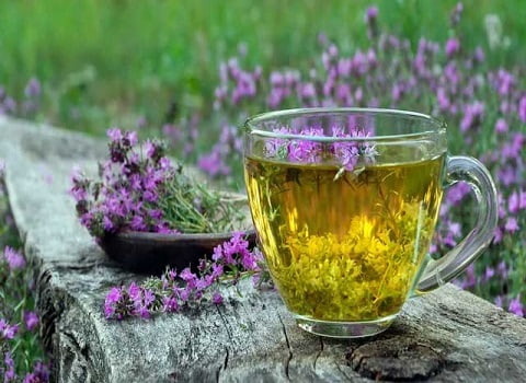 قیمت عرق آویشن شیرازی + خرید باور نکردنی