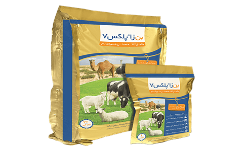 تصویر 4 از خرید مکمل بن زا پلکس ۷ + قیمت فروش استثنایی
