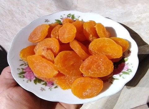 تصویر 2 از خرید قیسی زردآلو گوگردی + قیمت فروش استثنایی