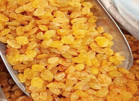 تصویر 1 از فروش کشمش طلایی درجه یک + قیمت خرید به صرفه