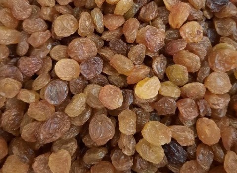 تصویر 1 از قیمت خرید کشمش تیزابی خرمایی لوکس + فروش ویژه
