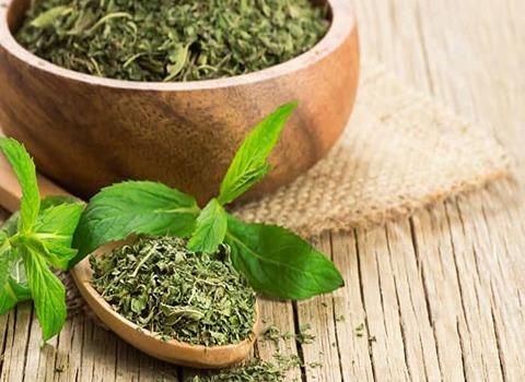 تصویر 2 از قیمت خرید نعنا خشک شده با فروش عمده