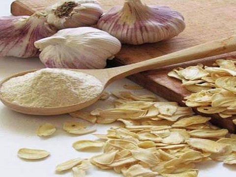 تصویر 4 از قیمت پودر سیر درجه یک + خرید باور نکردنی