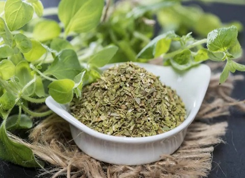 تصویر 4 از قیمت خرید گیاه مرزنجوش خشک شده عمده به صرفه و ارزان
