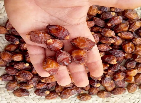 تصویر 4 از قیمت خرید خرمای خاصویی ریزه عمده به صرفه و ارزان