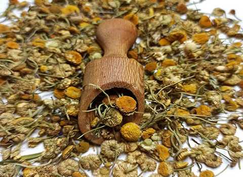 تصویر 4 از قیمت خرید گیاه خشک شده بابونه + فروش ویژه