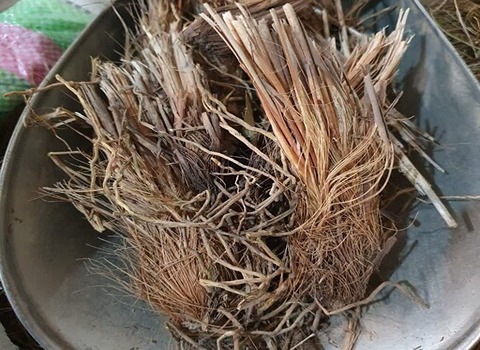 تصویر 2 از قیمت خرید کاه مکی خشک + فروش ویژه