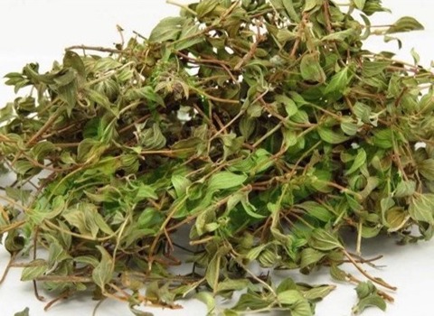 تصویر 1 از قیمت گیاه آویشن کوهی مرغوب با کیفیت ارزان + خرید عمده