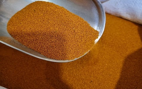 فروش خاکشیر دانه