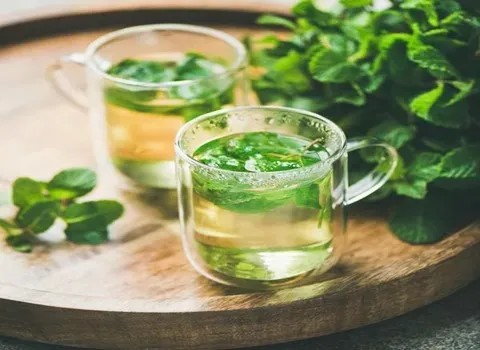 فروش عرق گیاهی نعناع + قیمت خرید به صرفه