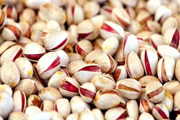 تصویر 4 از قیمت پسته احمدآقایی نمکی با کیفیت ارزان + خرید عمده