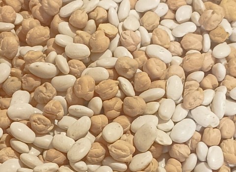 تصویر 4 از قیمت خرید نخود و لوبیا گلستان + فروش ویژه