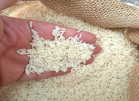 تصویر 3 از قیمت خرید برنج مازندران طارم اصل عمده به صرفه و ارزان