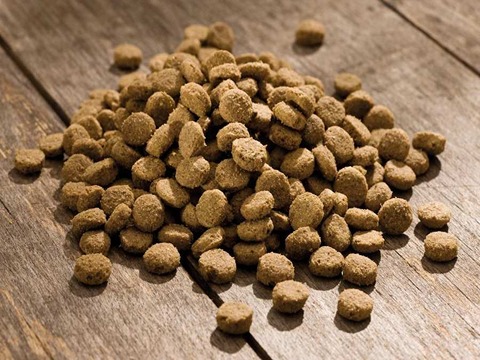 تصویر 1 از قیمت غذا خشک ماهی + خرید باور نکردنی