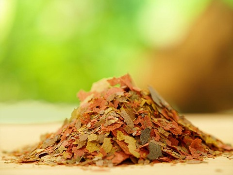 تصویر 3 از قیمت غذا خشک ماهی + خرید باور نکردنی