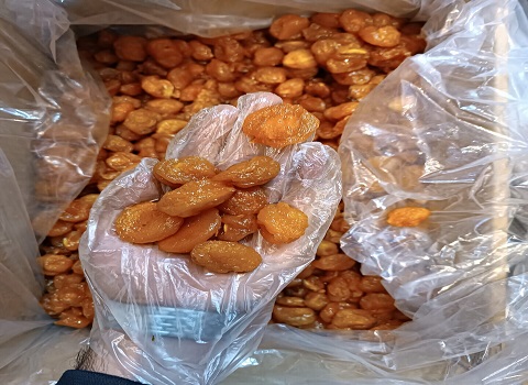 تصویر 2 از قیمت خرید آلو شوقانی خشک هسته جدا با فروش عمده