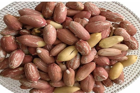 تصویر 4 از خرید و قیمت بادام زمینی صادراتی + فروش عمده