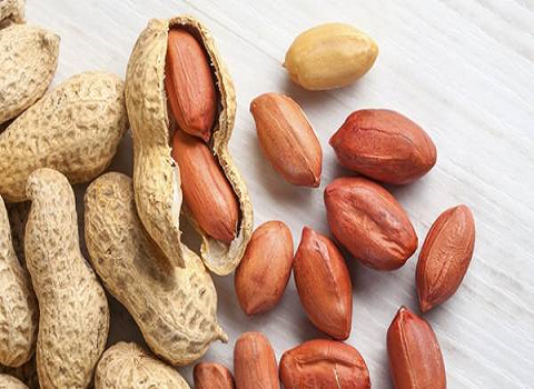 تصویر 3 از خرید و فروش بادام زمینی آستانه عمده با شرایط فوق العاده