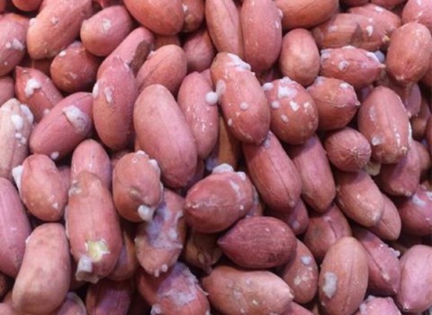 تصویر 2 از قیمت خرید بادام زمینی قرمز + فروش ویژه