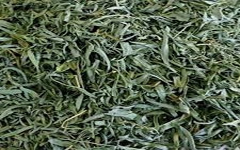 تصویر 3 از خرید ترخون خشک شده + قیمت فروش استثنایی