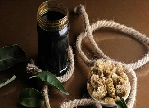 تصویر 3 از قیمت خرید شیره توت صادراتی + فروش ویژه