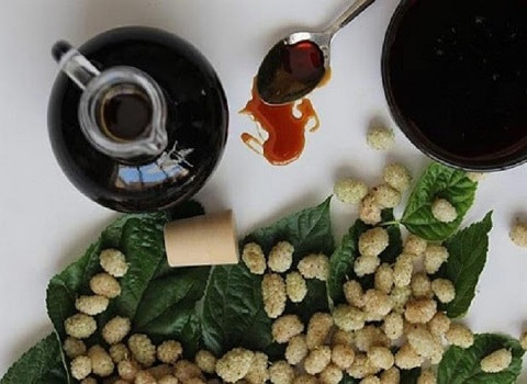 قیمت خرید شیره توت صادراتی + فروش ویژه