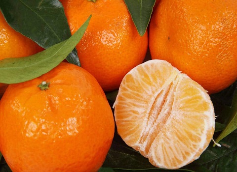 تصویر 1 از خرید نارنگی پیج شمال + قیمت فروش استثنایی