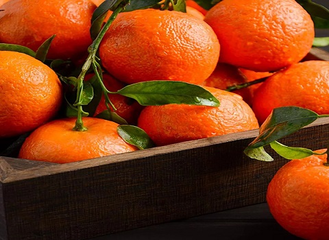 تصویر 4 از خرید نارنگی پیج شمال + قیمت فروش استثنایی
