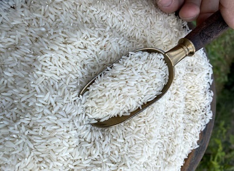 تصویر 3 از قیمت خرید برنج هاشمی سورت شده عمده به صرفه و ارزان