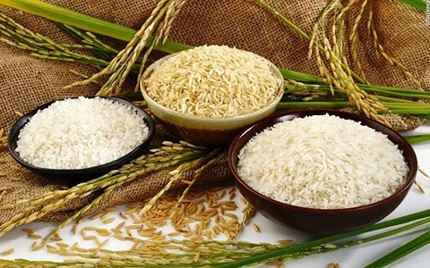 تصویر 4 از خرید و قیمت برنج کامفیروز درجه یک + فروش عمده