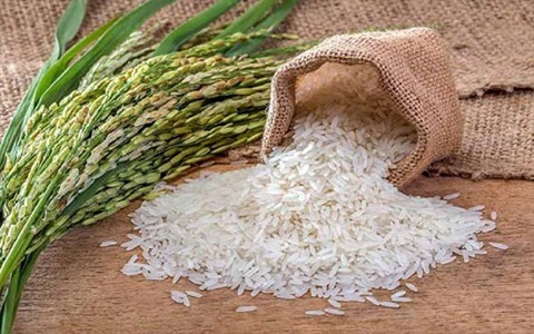 تصویر 2 از قیمت برنج کامفیروز شیراز + خرید باور نکردنی