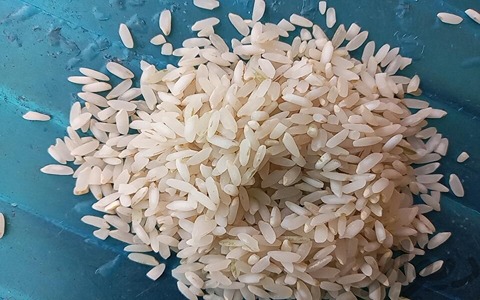 تصویر 1 از قیمت برنج کامفیروز ایزدی با کیفیت ارزان + خرید عمده